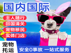 南京禄口机场物流国际宠物托运 【国